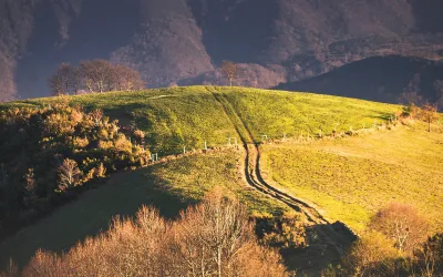 Pamplona, camino de santiago