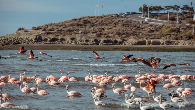 Puerto Madryn