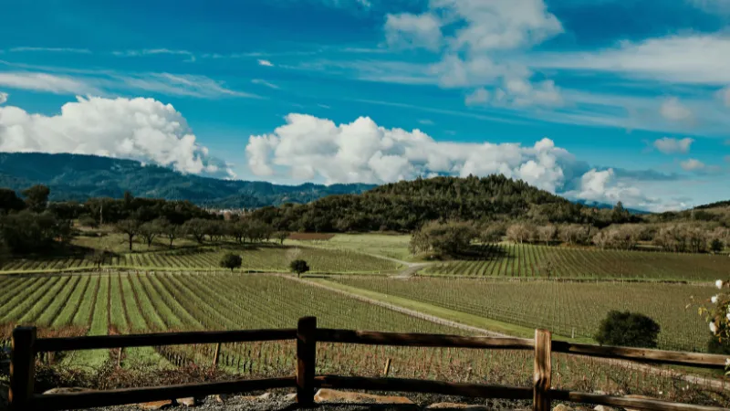 Napa Valley en Pareja