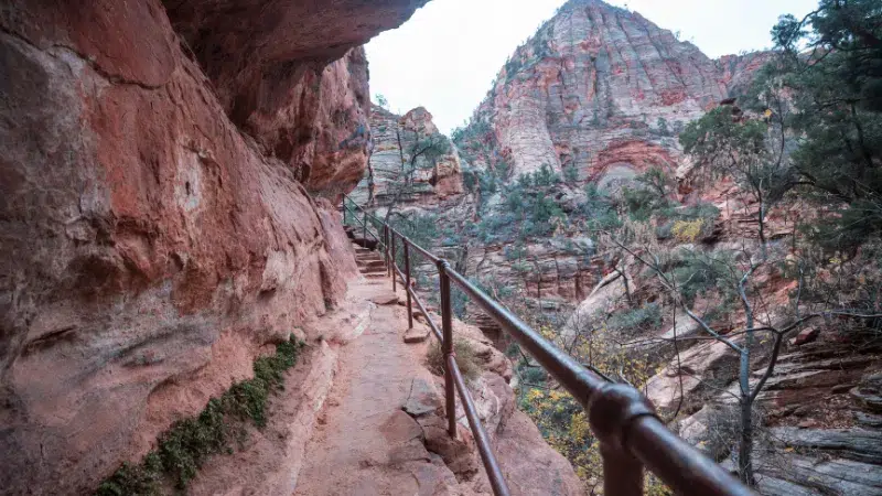 cañón de Zion National Park Utah