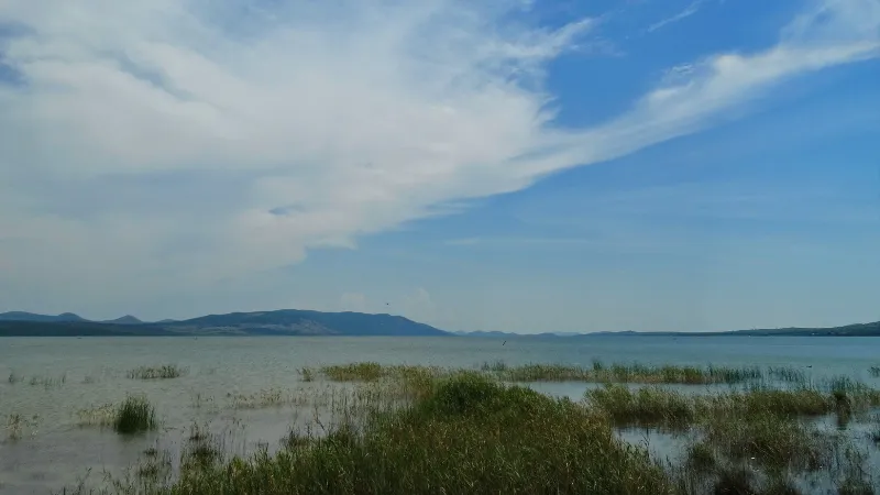 Playa del lago Michigan con skyline